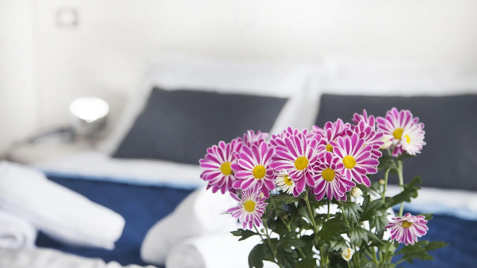 Hotel Stella D'Italia - Nuova Gestione Rimini 3*,  Italy
